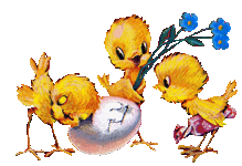 Тайна живой природы