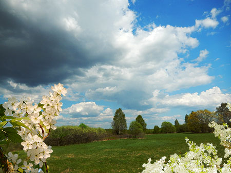 Застенчивый май