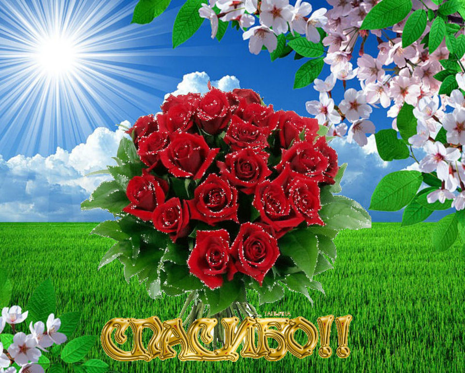 Ты говоришь