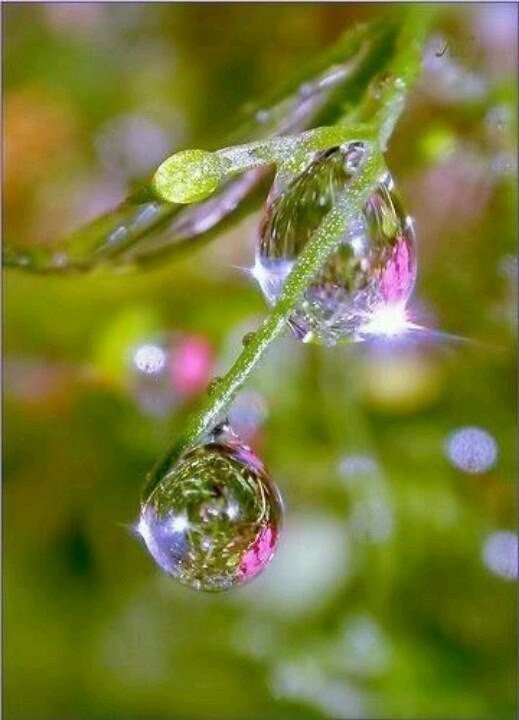 Мне снова хочется лета