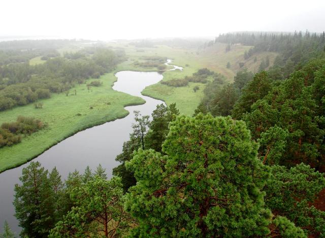 Письмо Родине