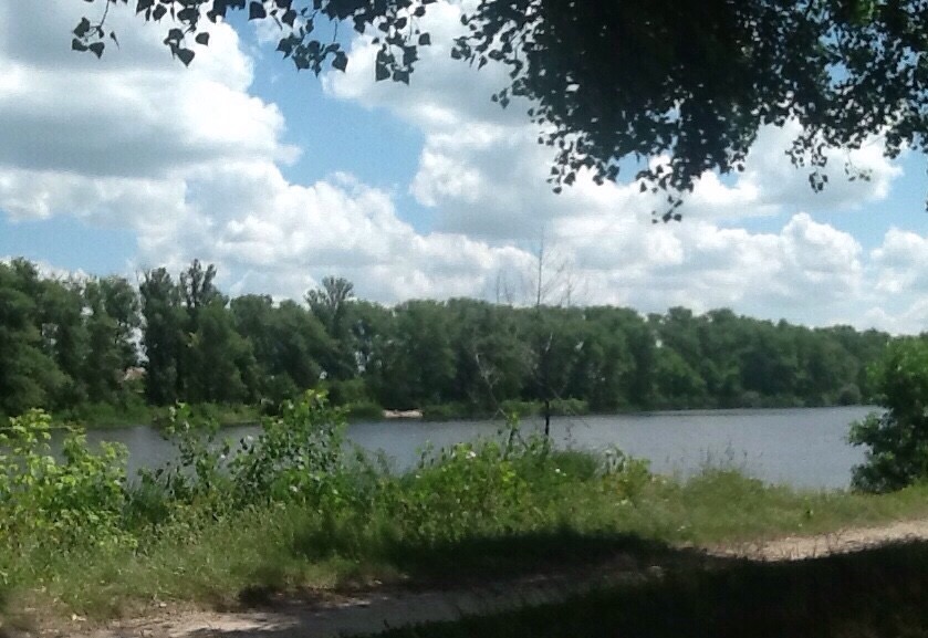 А май в лесу сезон открыл