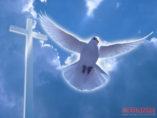 Ой, ты Русь моя, белокрылая