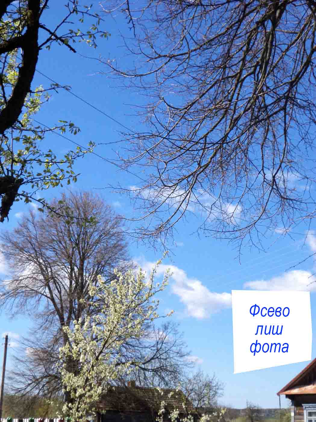 Итак, у в нас ужэ всэ хвайно ж