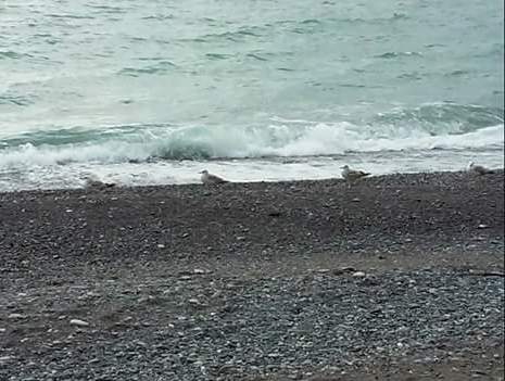 В чем сила красоты