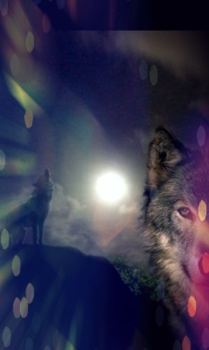 Седые Братья