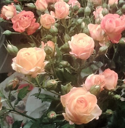 Пусть Дни рождения друзей нам дарят солнца луч!