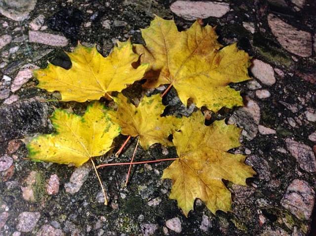 В облаках словно штора свинцовая