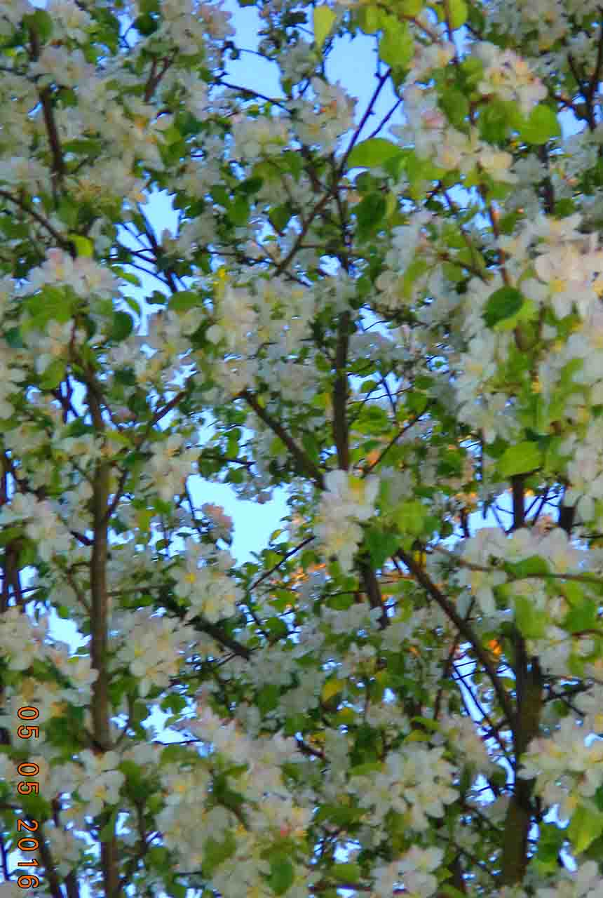 Мы пра любовь фсё знаем!