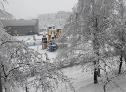 Деревья сбрасывали снег