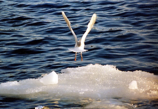 Трансформация