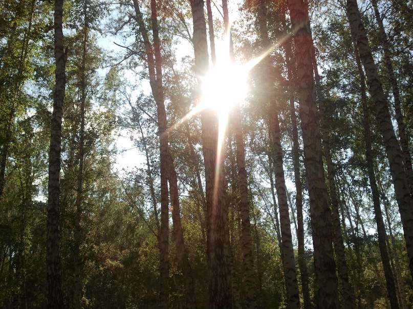 Раннее утро...