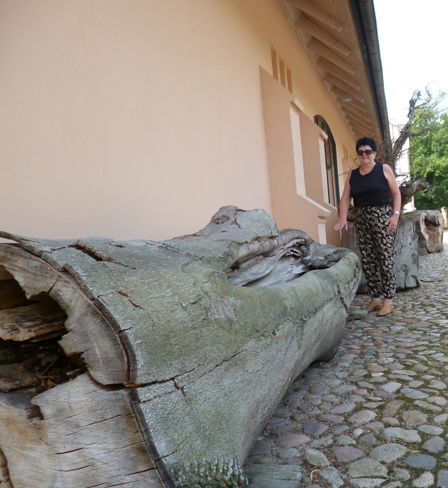 Aufgeben war gestern