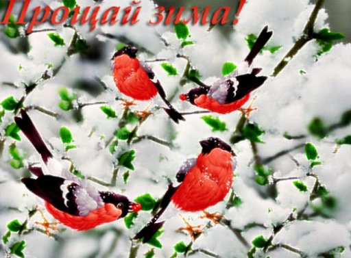 Прощай, Зима!