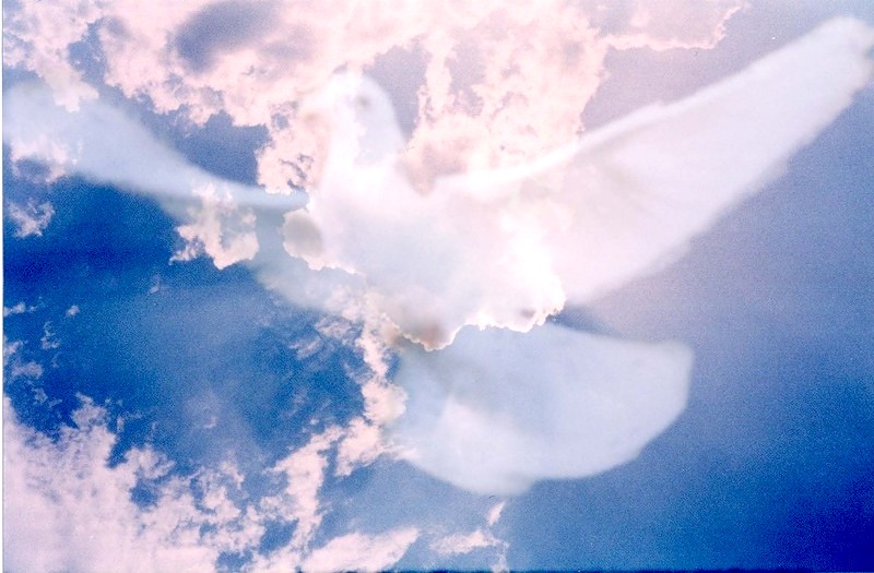 Облака это души людей. Ангел в небе. Небесные ангелы. Душа в небе. Ангел на облаке.