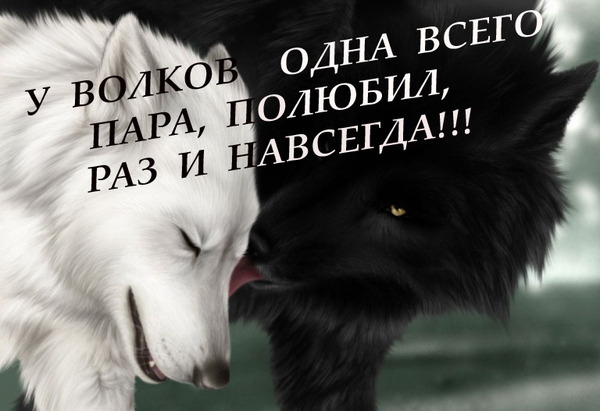 Тобой душа моя полна