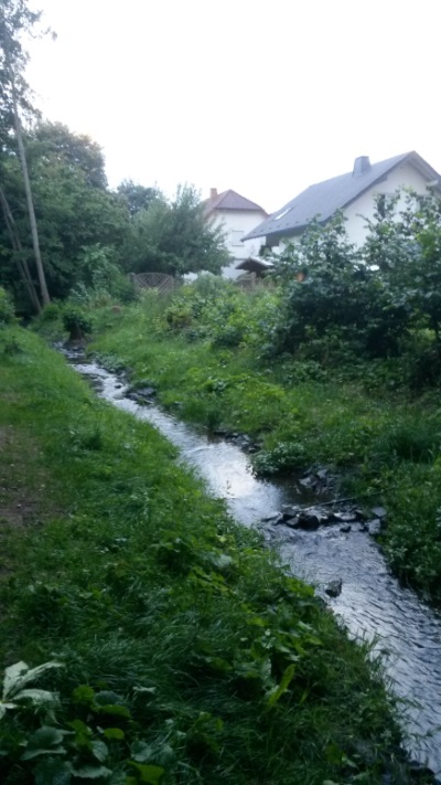 Верни мне, Господи, ручей