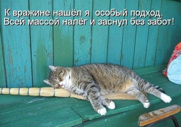 На солнцепёке, на завалинке...