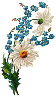 Не желаю богатых дворцов