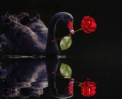 И верю я - нам ночь раскинет полог...