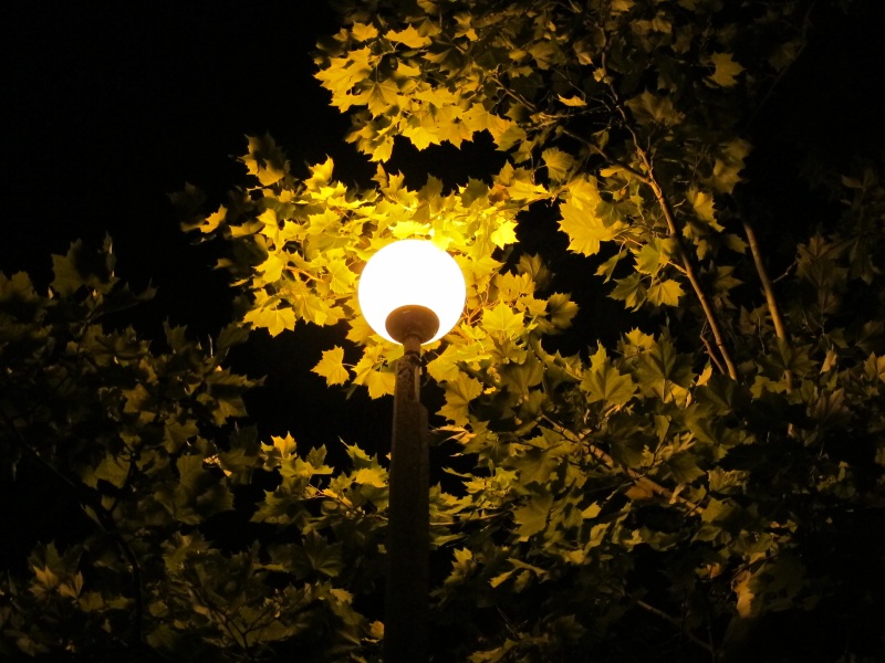 Одинокий фонарь