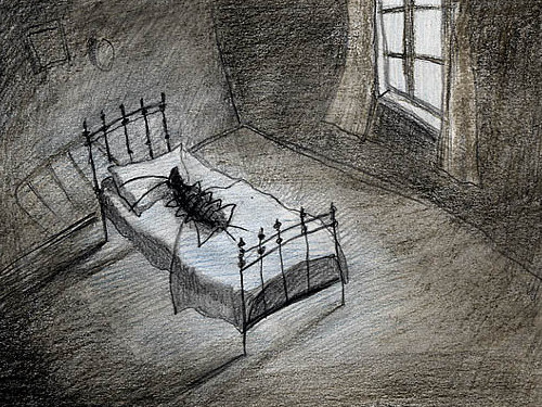 Метаморфоза