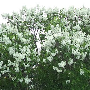 Опять тепло ушло