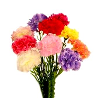 Становится в буднях светло