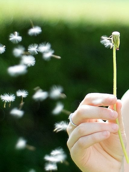 Вот так и наши годы пролетают...