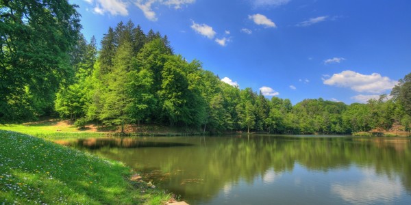 Дивные пруды родной Отчизны