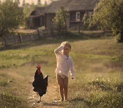 Ты не плачь