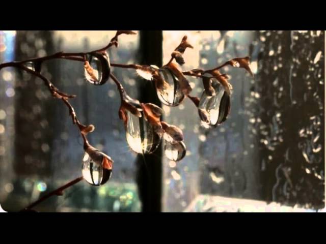 Мне б дожить до весны