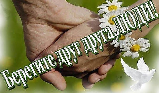 Не обижайте их