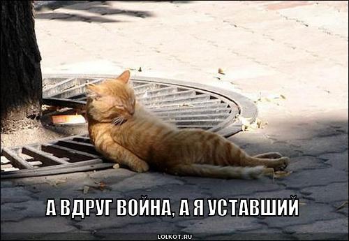 Вдруг война, а я уставший?!