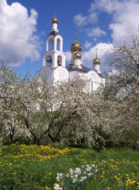 Свято варсонофиевский монастырь мордовия. Покровские Селищи Мордовия монастырь. Свято-Варсонофиевский женский монастырь. Варсонофьевский монастырь Мордовия. Храм Покров селище Мордовия.