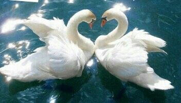 Разная любовь