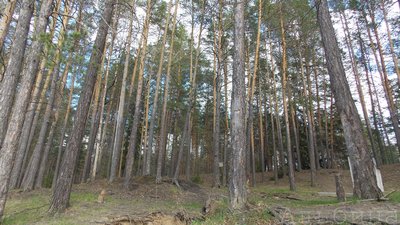 Небесный купол