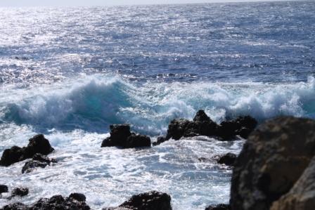 Она Из Нитей Чёрно Белых!