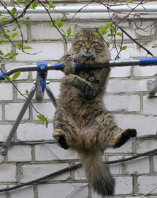 Быть бойцом готовься с детства!