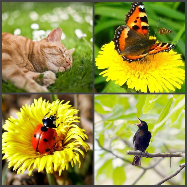 Для тех у кого есть дети и внуки...