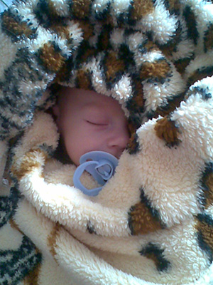 Может, маленький жучок?..