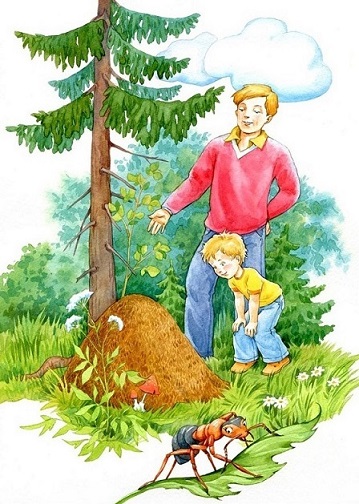 До свиданья, муравей!