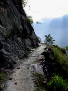 Тропинка по жизни