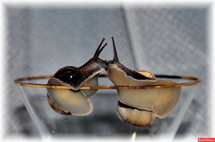 Конкурс - И пусть весь мир подождёт...