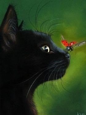 Зарисовка...