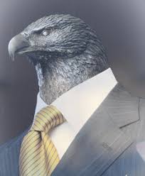 Головы птиц