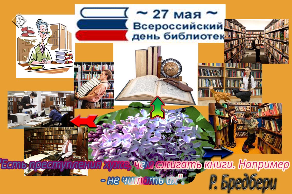День библиотеки статья. С днем библиотек. Всероссийский день библиотек. 27 Мая день библиотек. Общероссийский день библиотек.