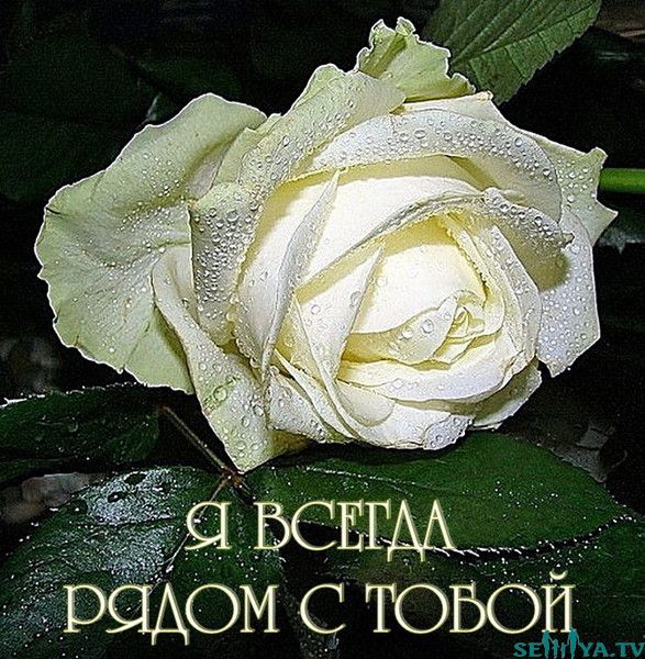 Боль разлуки