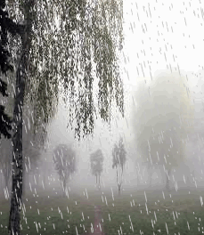 Как из ушата