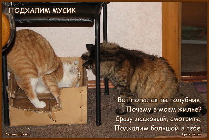 Чиновник карикатура. Люди подхалимы. Подхалим. Подхалимство картинки. Подхалим иллюстрация.